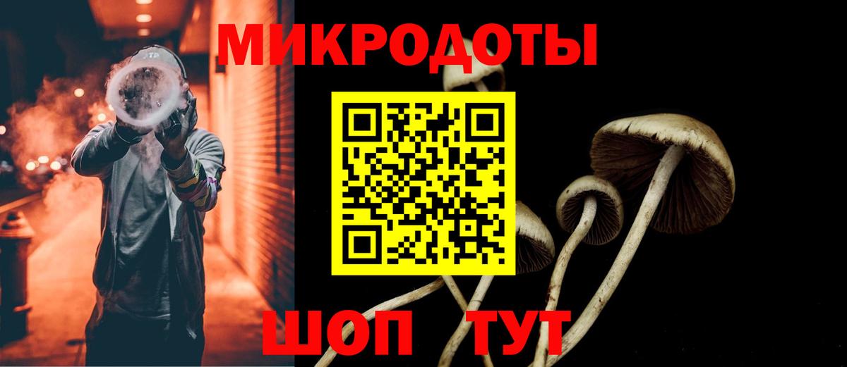 Псилоцибиновые грибы мухоморы Кизилюрт